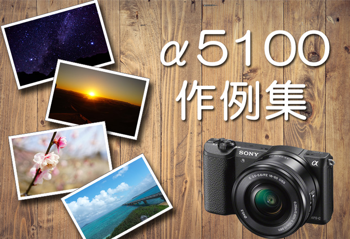 ミラーレス一眼レフ SONY α5100 smcint.com